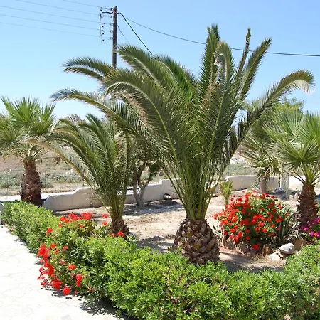 Coralli 米科利维亚